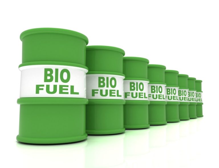 The Science Behind How Biofuel Engines Propel Your Eco-Friendly Ride 