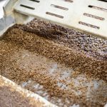 Biomass Production: The Future of Sustainable Energy and Agriculture