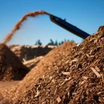 Sustainability Unleashed: Uncovering the Renewable Potential of Biomass Energy