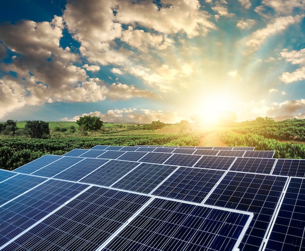 Read more about the article Why Is Solar Energy Renewable? The Endless Energy Source Explained 