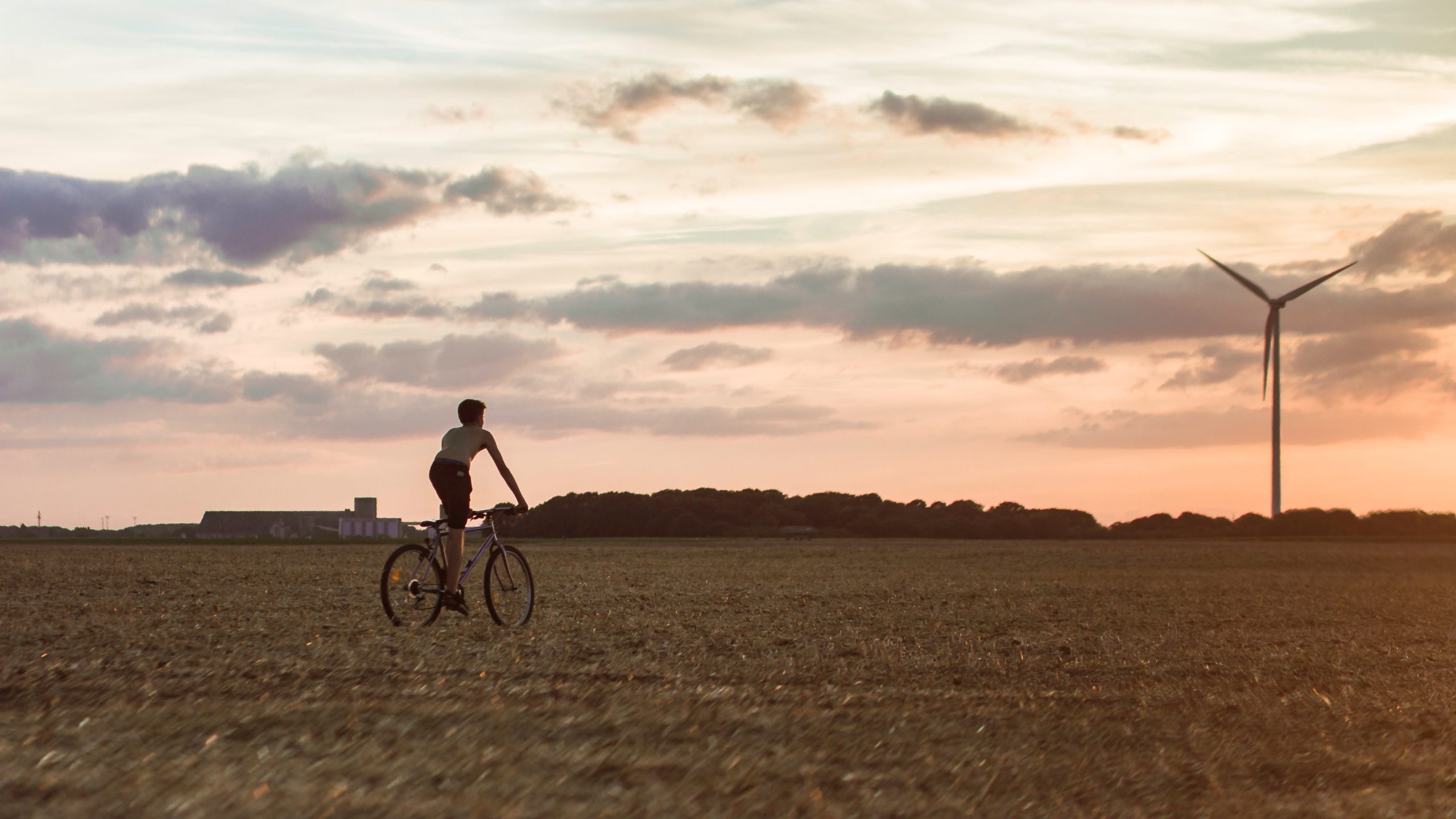 Sustainable Winds of Change: The Role of Wind Energy in the Renewable Revolution